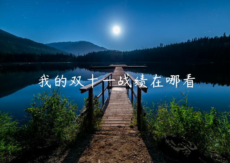 我的双十一战绩在哪看 我的双十一战绩在哪看